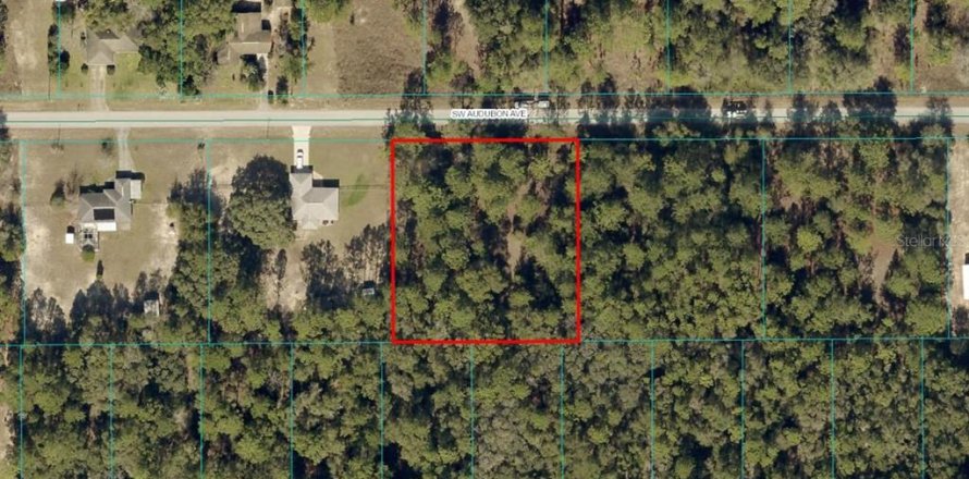 Land in Dunnellon, Florida № 1347574