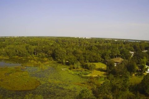 Land in Winter Garden, Florida № 1254676 - photo 4