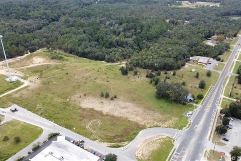 Land in Interlachen, Florida № 1361292 - photo 2