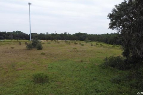 Terrain à vendre à Interlachen, Floride № 1361292 - photo 6