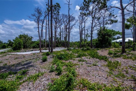 Land in Englewood, Florida № 1193633 - photo 17