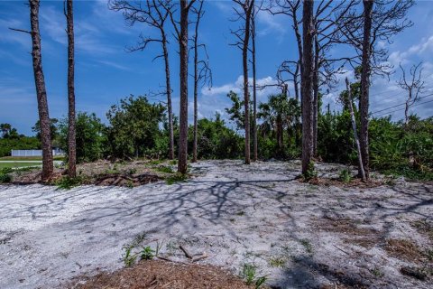 Terreno en venta en Englewood, Florida № 1193633 - foto 14