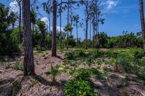 Land in Englewood, Florida № 1193633 - photo 15