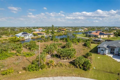 Terreno en venta en Port Charlotte, Florida № 917482 - foto 3