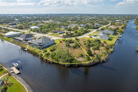 Land in Port Charlotte, Florida № 917482 - photo 1