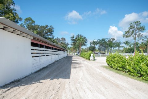 Terrain à vendre à Loxahatchee Groves, Floride № 1079755 - photo 17