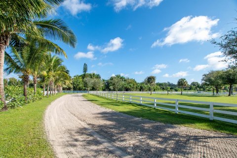Terrain à vendre à Loxahatchee Groves, Floride № 1079755 - photo 23