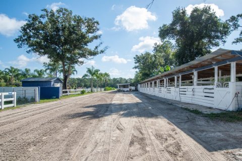 Terrain à vendre à Loxahatchee Groves, Floride № 1079755 - photo 28