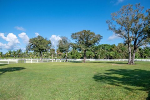 Terrain à vendre à Loxahatchee Groves, Floride № 1079755 - photo 21