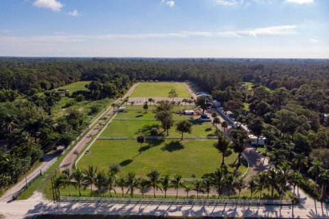 Terrain à vendre à Loxahatchee Groves, Floride № 1079755 - photo 6