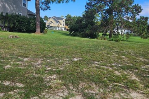 Terreno en venta en Tarpon Springs, Florida № 1352667 - foto 5