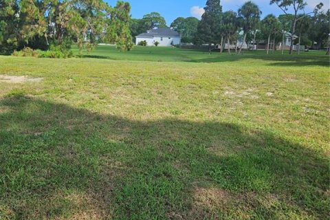 Terreno en venta en Tarpon Springs, Florida № 1352667 - foto 7