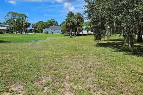 Land in Tarpon Springs, Florida № 1352667 - photo 3