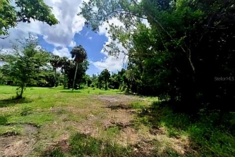 Terreno en venta en Punta Gorda, Florida № 1275505 - foto 6