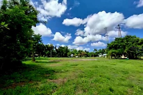 Land in Punta Gorda, Florida № 1275505 - photo 5