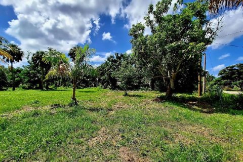 Terreno en venta en Punta Gorda, Florida № 1275505 - foto 3