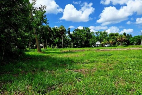 Terrain à vendre à Punta Gorda, Floride № 1275505 - photo 8