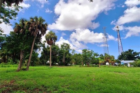 Land in Punta Gorda, Florida № 1275505 - photo 9