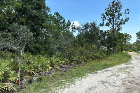 Terreno en venta en DeBary, Florida № 1303897 - foto 3