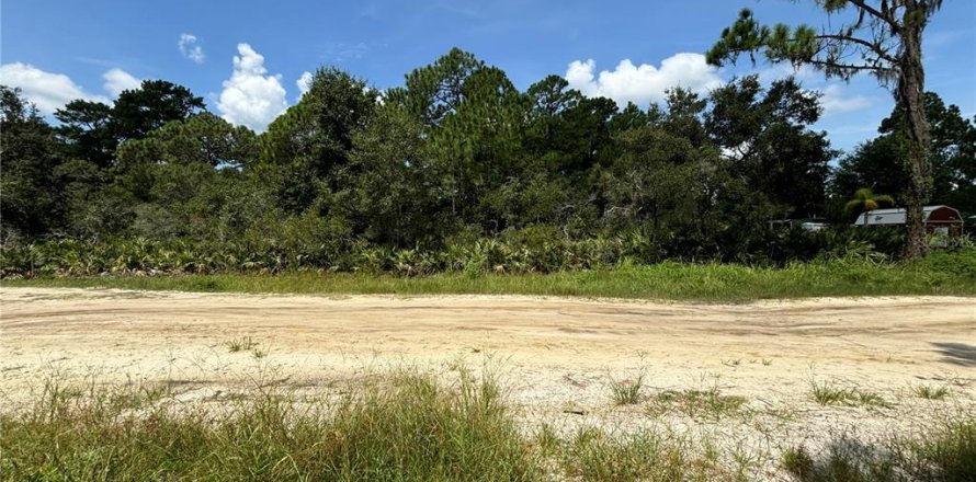 Terrain à DeBary, Floride № 1303897