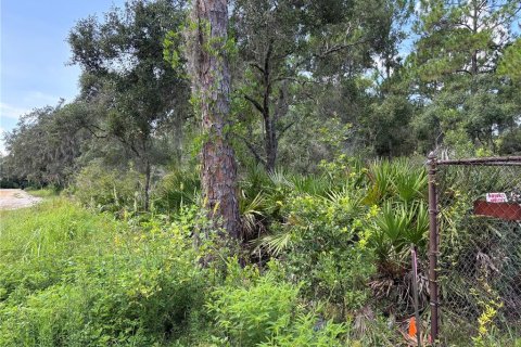 Terrain à vendre à DeBary, Floride № 1303897 - photo 4