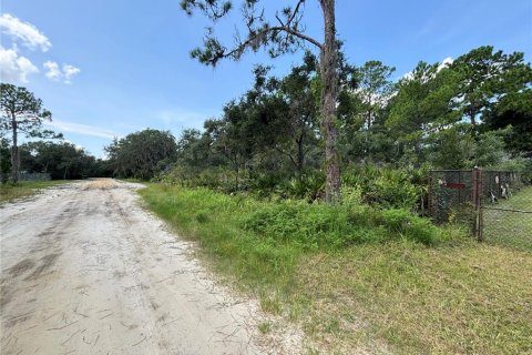 Terrain à vendre à DeBary, Floride № 1303897 - photo 2