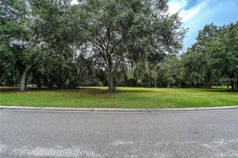 Terreno en venta en Plant City, Florida № 1252537 - foto 4