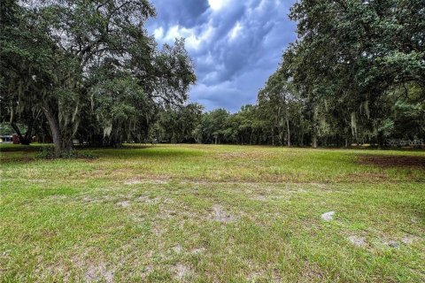 Terreno en venta en Plant City, Florida № 1252537 - foto 6