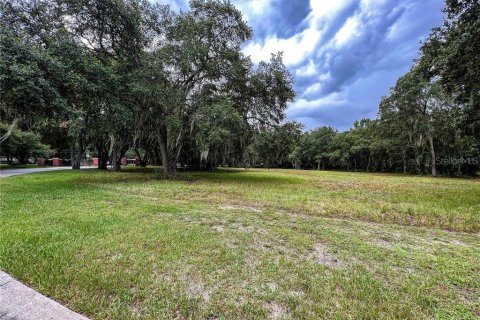 Terrain à vendre à Plant City, Floride № 1252537 - photo 5