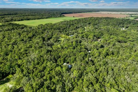 Villa ou maison à vendre à Chiefland, Floride: 2 chambres, 170.57 m2 № 1349779 - photo 30