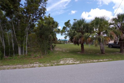 Terreno en venta en Port Charlotte, Florida № 1218009 - foto 4