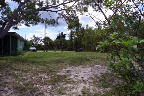 Terreno en venta en Port Charlotte, Florida № 1218009 - foto 11