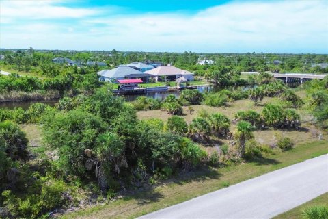 Land in Port Charlotte, Florida № 1247854 - photo 8