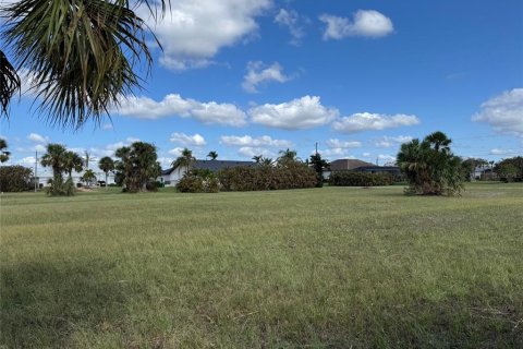 Terreno en venta en Punta Gorda, Florida № 1427808 - foto 2