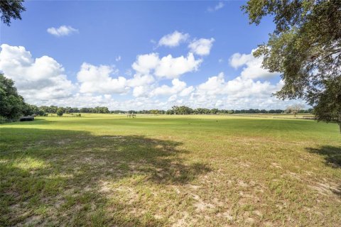 Terreno en venta en Citra, Florida № 1346119 - foto 4