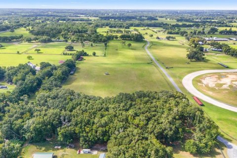 Terreno en venta en Citra, Florida № 1346119 - foto 8