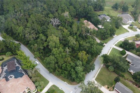 Terrain à vendre à Ocala, Floride № 1425744 - photo 4