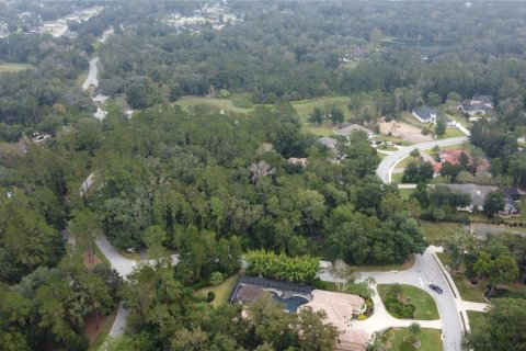 Terrain à vendre à Ocala, Floride № 1425744 - photo 8