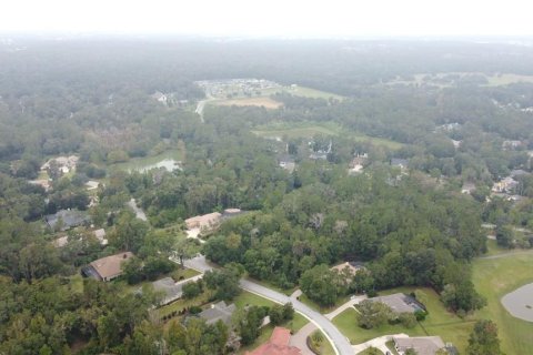 Terreno en venta en Ocala, Florida № 1425744 - foto 10