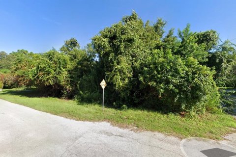 Terreno en venta en Tarpon Springs, Florida № 1429333 - foto 1