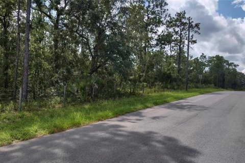 Terreno en venta en Homosassa, Florida № 1359099 - foto 3