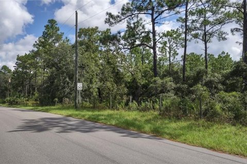 Terrain à vendre à Homosassa, Floride № 1359099 - photo 2