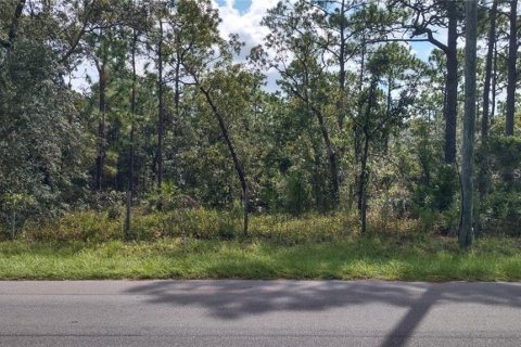 Terreno en venta en Homosassa, Florida № 1359099 - foto 1