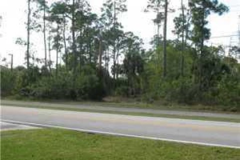 Terrain à vendre à Wellington, Floride № 129793 - photo 3
