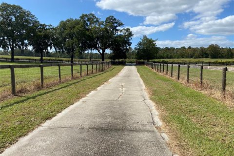 Villa ou maison à louer à Ocala, Floride: 3 chambres, 179.95 m2 № 1386455 - photo 5