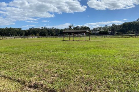 Casa en alquiler en Ocala, Florida, 3 dormitorios, 179.95 m2 № 1386455 - foto 6