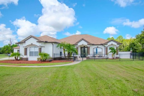 Casa en venta en Land O' Lakes, Florida, 4 dormitorios, 302.49 m2 № 1381192 - foto 1