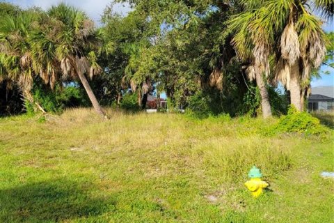 Terrain à vendre à Rotonda, Floride № 835120 - photo 3