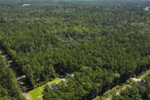 Land in Sopchoppy, Florida № 1373345 - photo 24