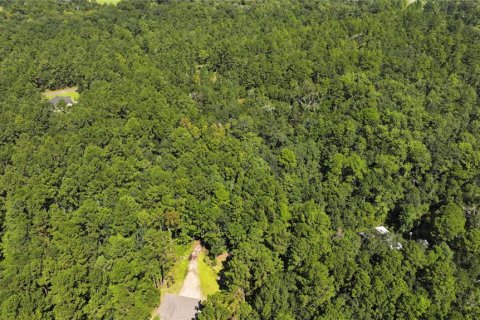 Land in Sopchoppy, Florida № 1373345 - photo 29